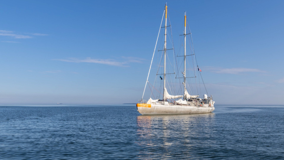 Το επιστημονικό σκάφος «Tara»